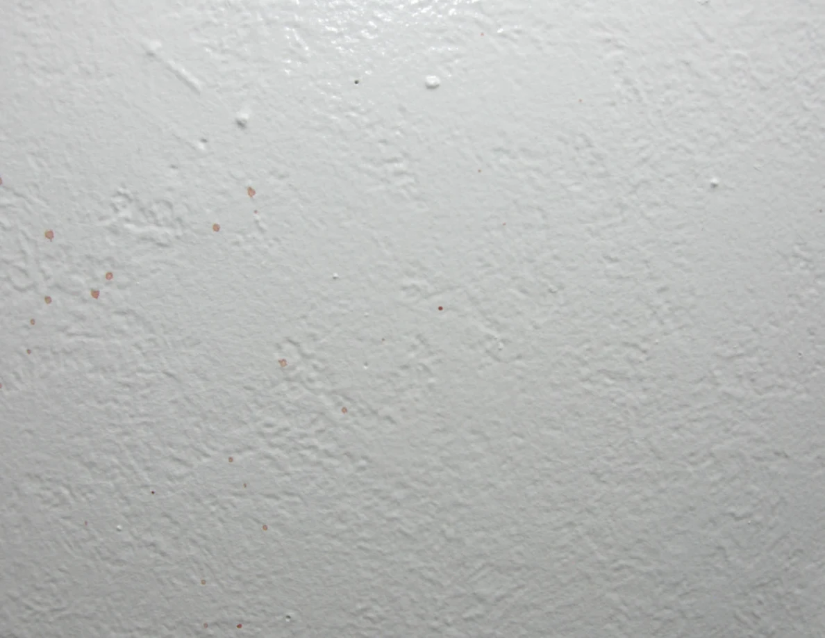 Close view of a pale textured wall with small marks and reddish specks.