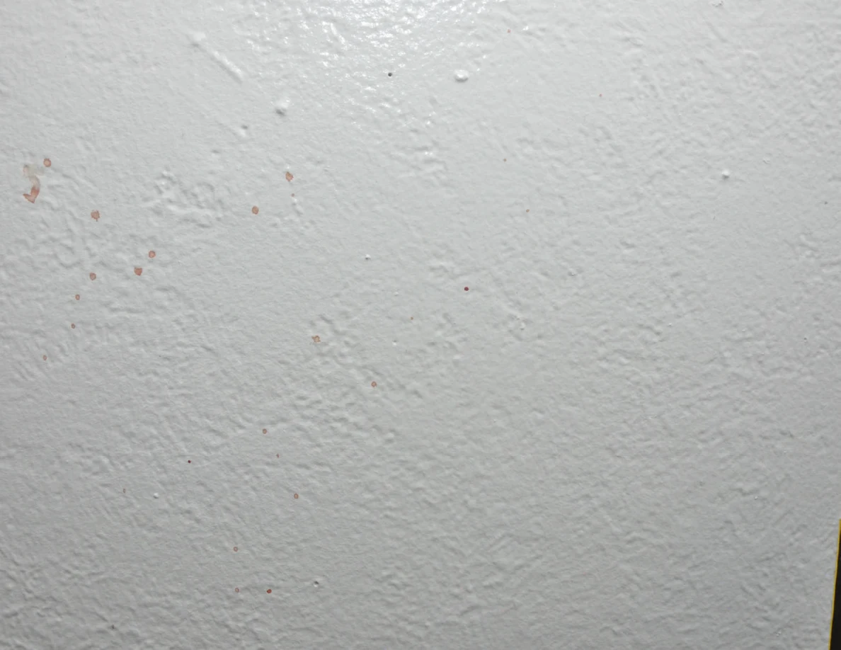 Close view of a pale textured wall with small marks and reddish specks.