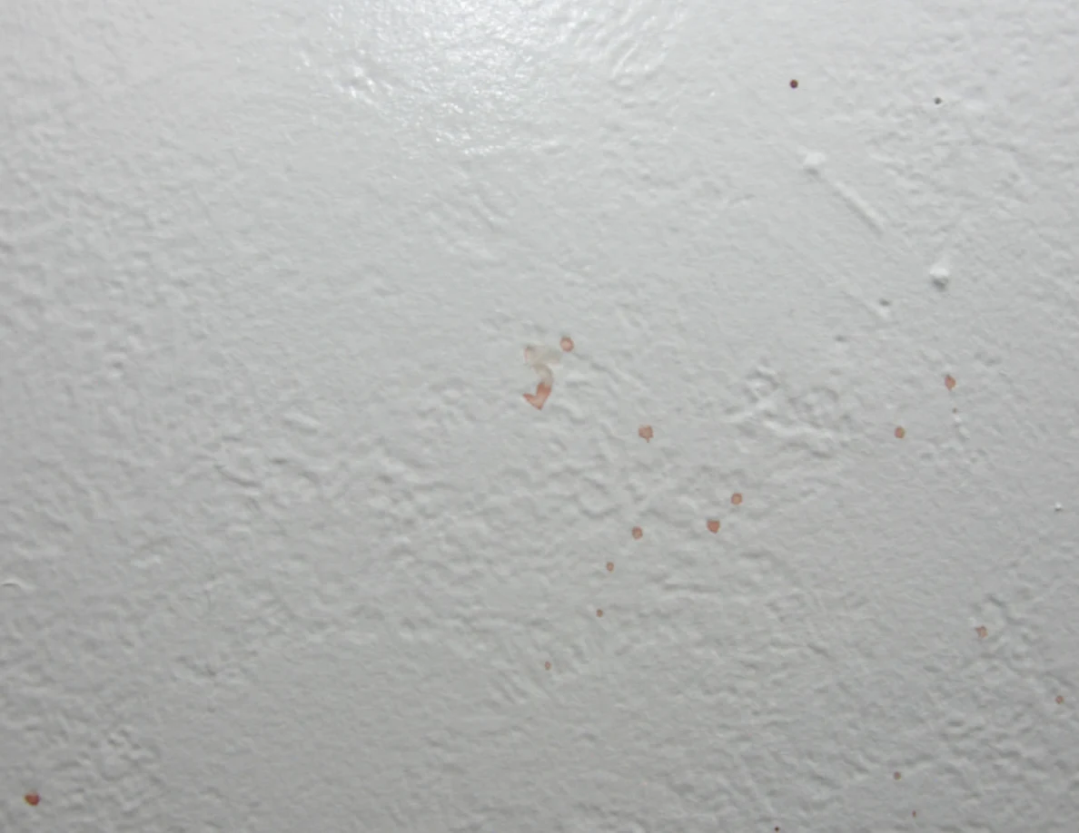 Close view of a pale textured wall with sparse reddish marks.