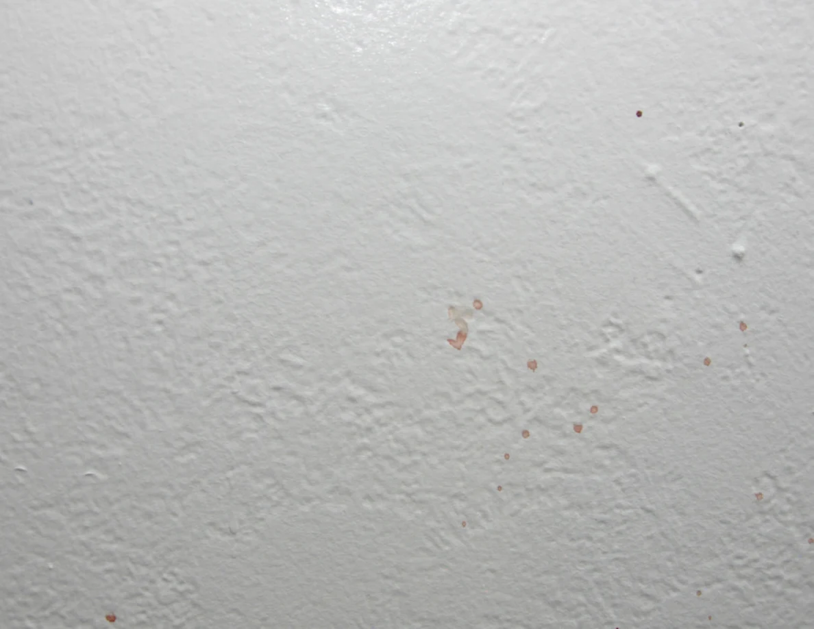 Close view of a pale textured wall with sparse reddish marks.