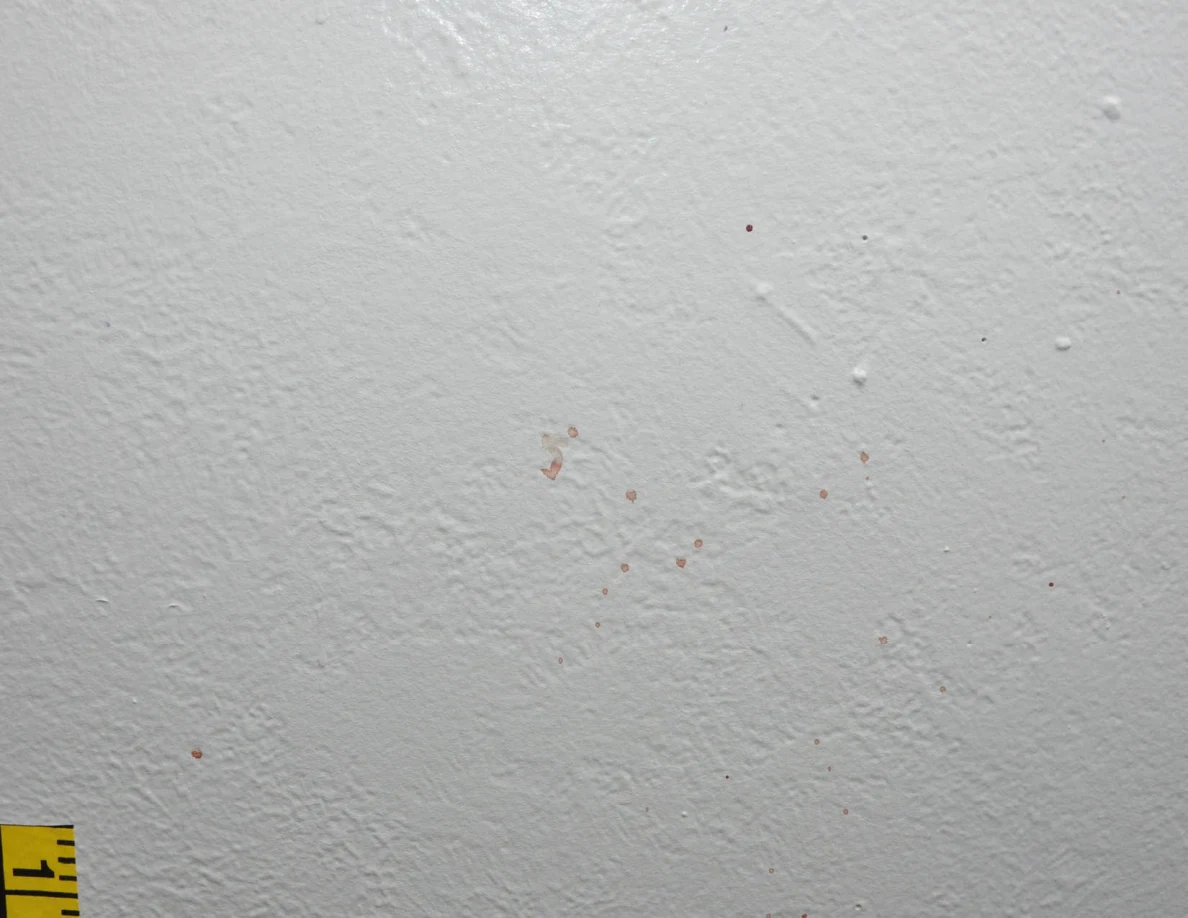 Small reddish wall spots beside the edge of measuring tape.