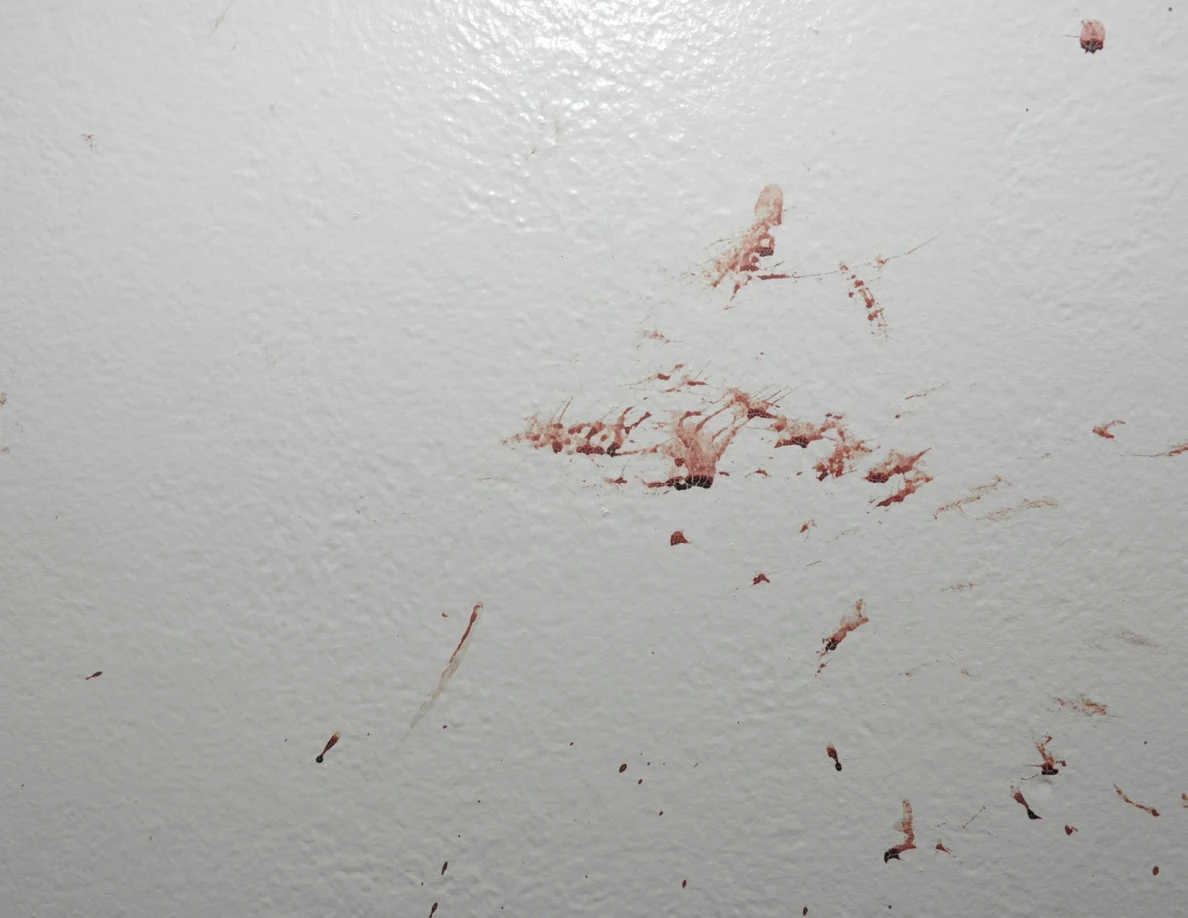 Close view of reddish smears and spots on a white wall.