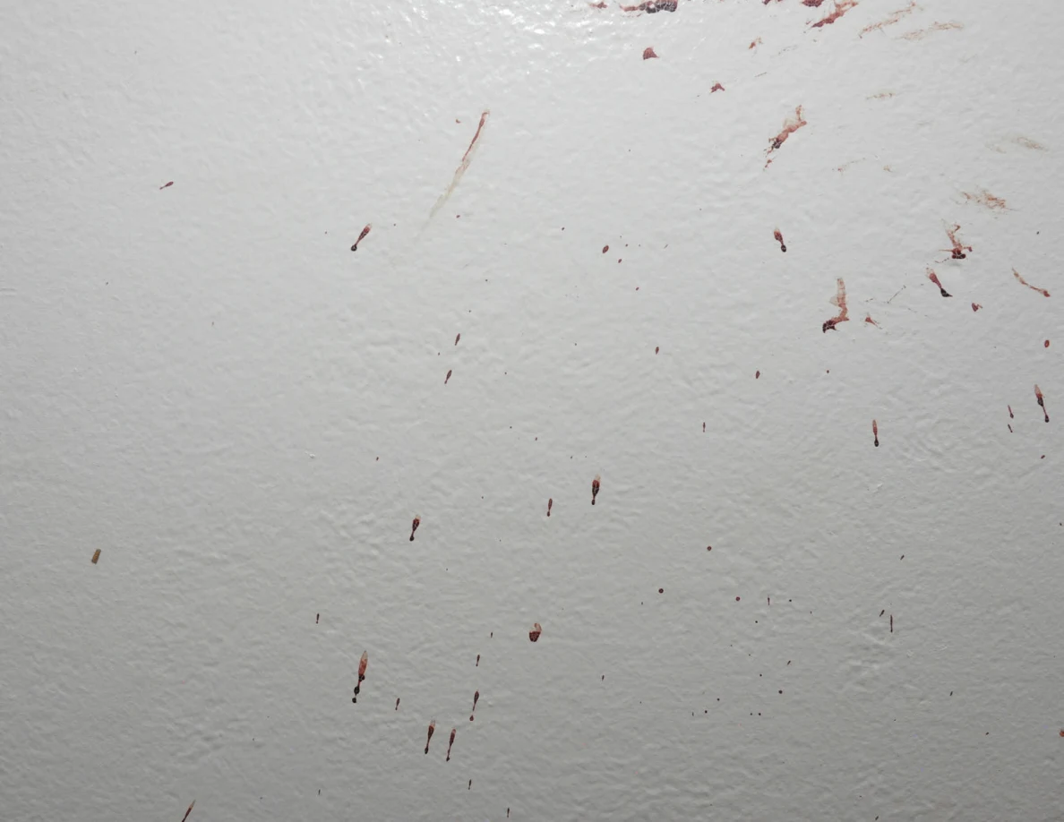 Short reddish streaks on a white wall.