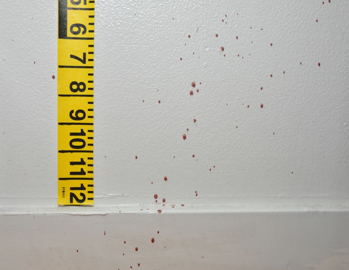 Wall spots near a baseboard and vertical measuring tape.