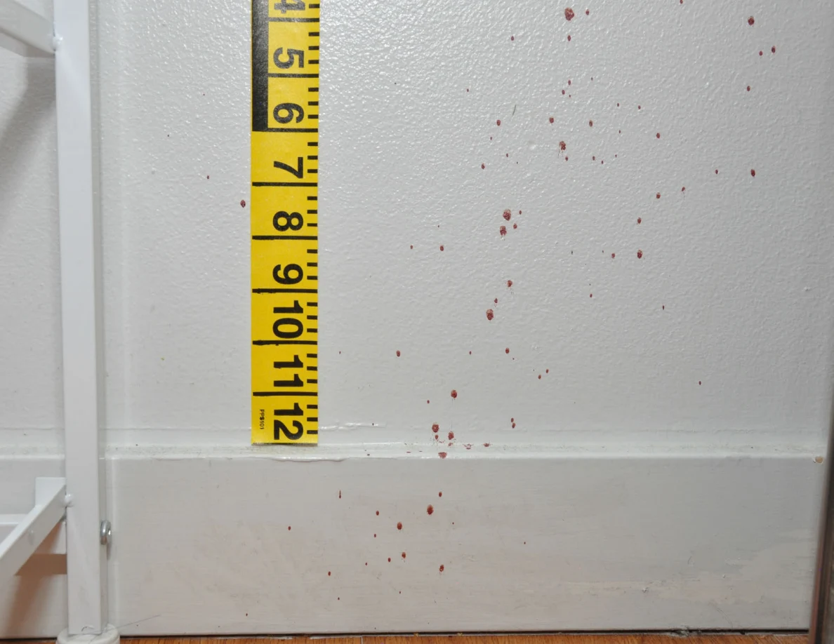 Wall spots near a baseboard and vertical measuring tape.