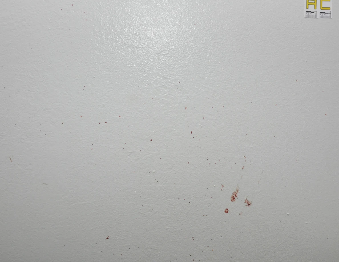 Small reddish spots on a white wall beneath label AC.