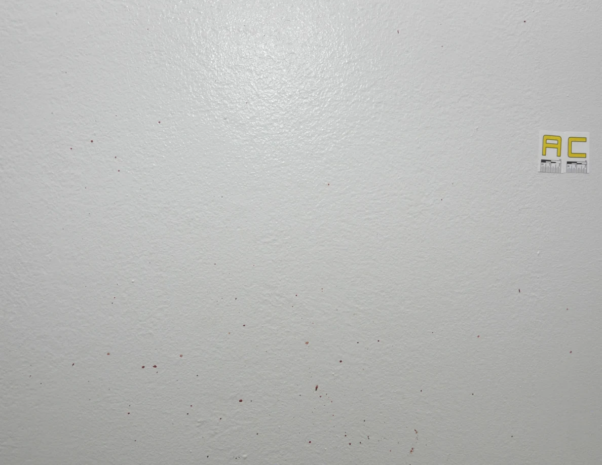 Small reddish spots on a white wall beside label AC.