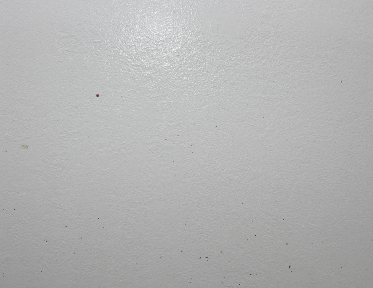 Close view of scattered small reddish spots on a white wall.