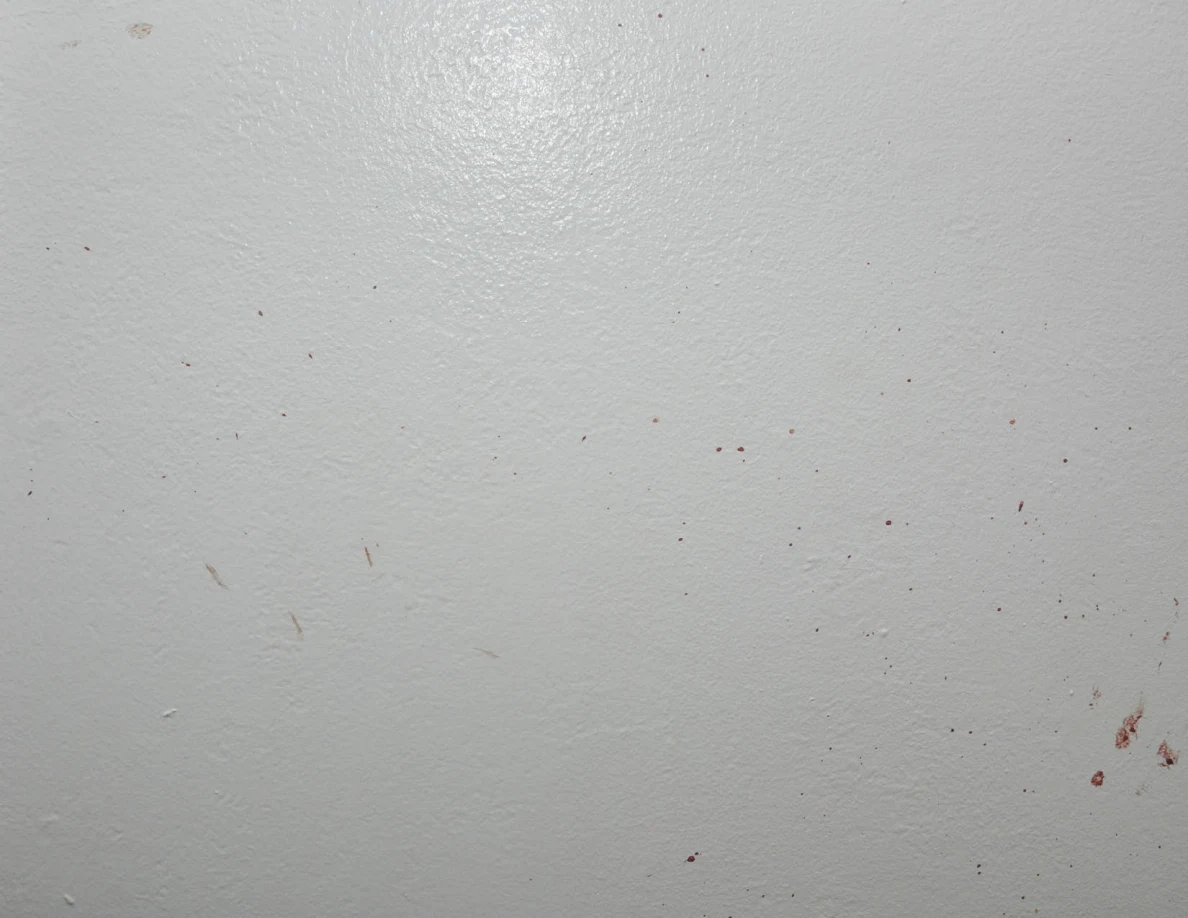 Close view of scattered small reddish spots and short streaks on a white wall.