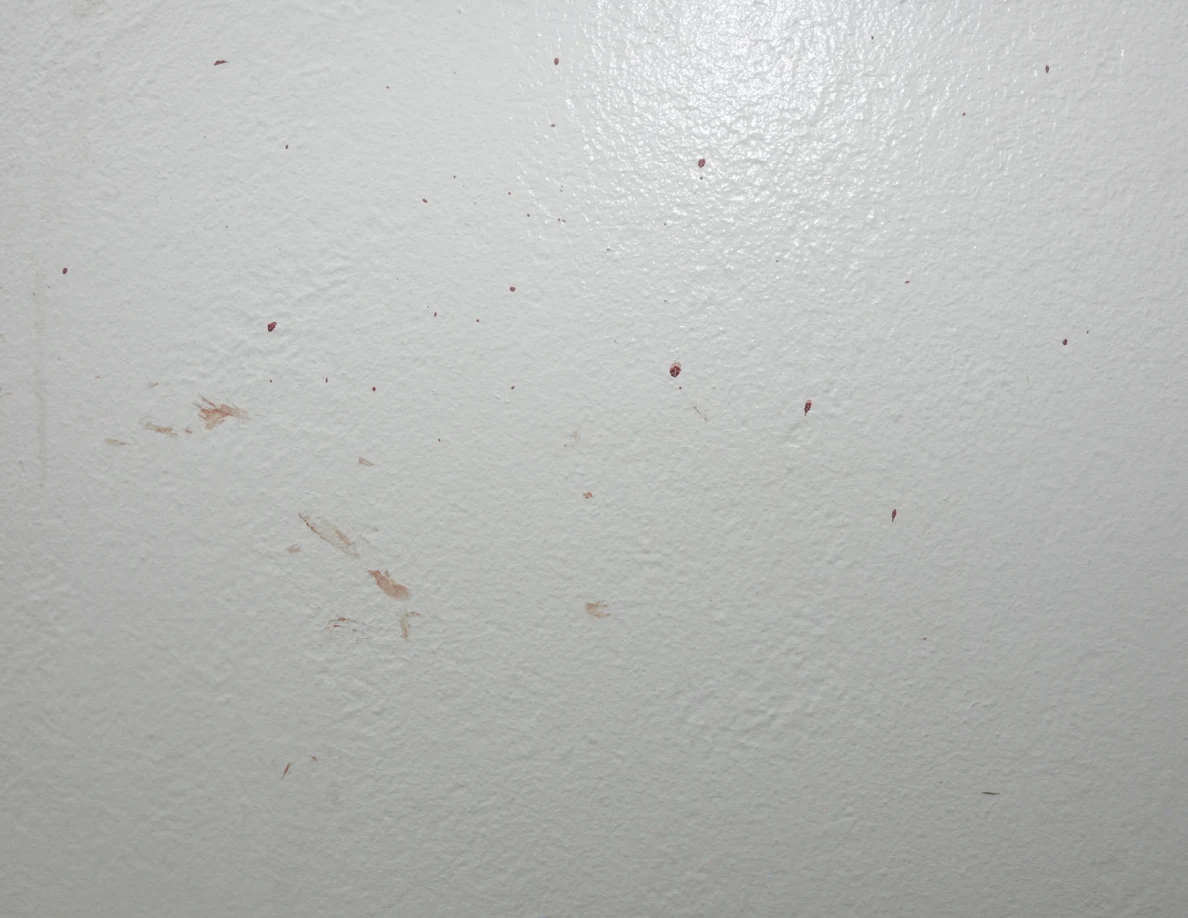 Scattered reddish spots and faint smears on a white wall.