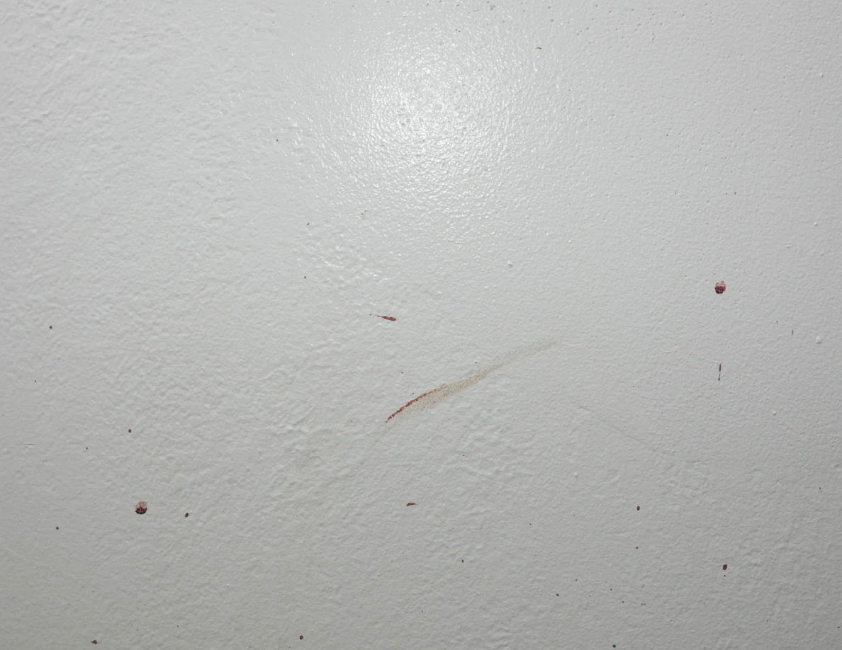 Scattered reddish spots and a faint diagonal smear on a white wall.
