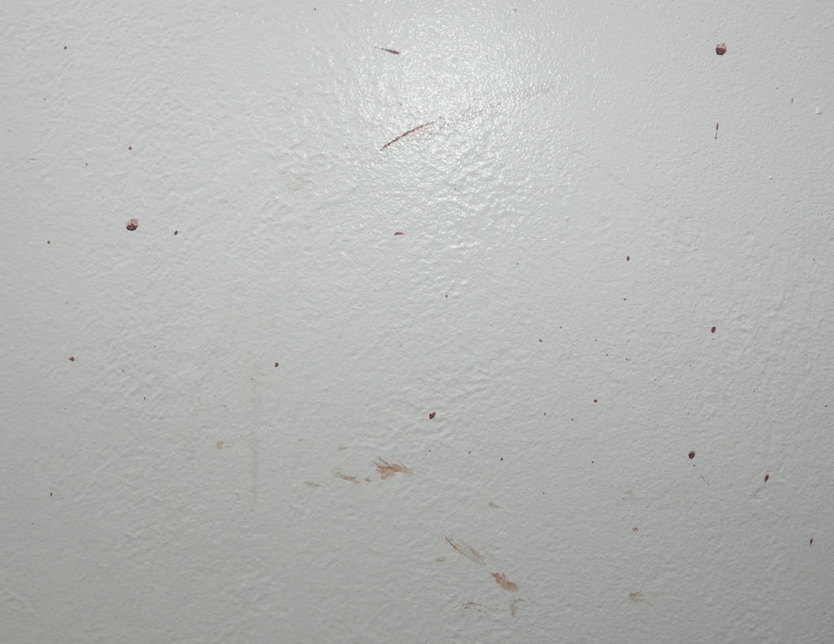Scattered reddish spots and faint smears on a white wall.