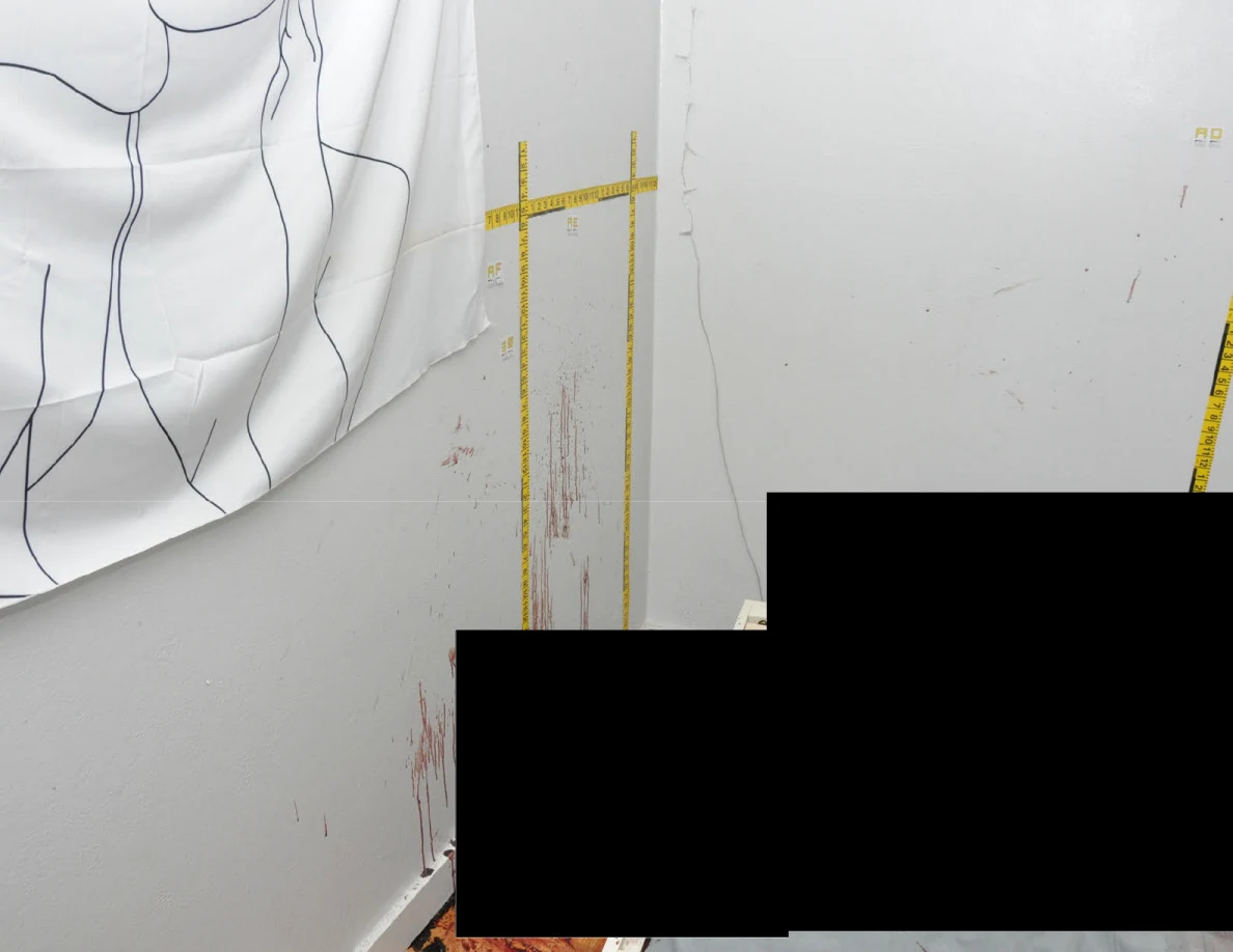 Fabric wall hanging beside measuring tapes and reddish wall streaks, with black redactions below.