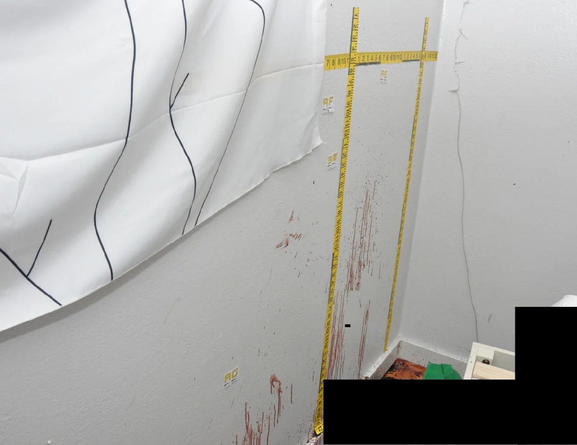 Fabric wall hanging, crossed measuring tapes and reddish wall streaks above black redactions.
