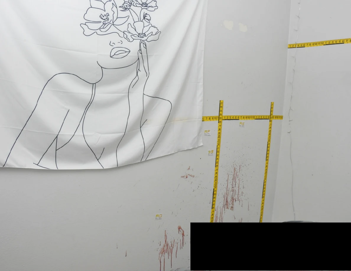 Fabric wall hanging depicting a line-art face and flowers beside wall streaks and measuring tapes.