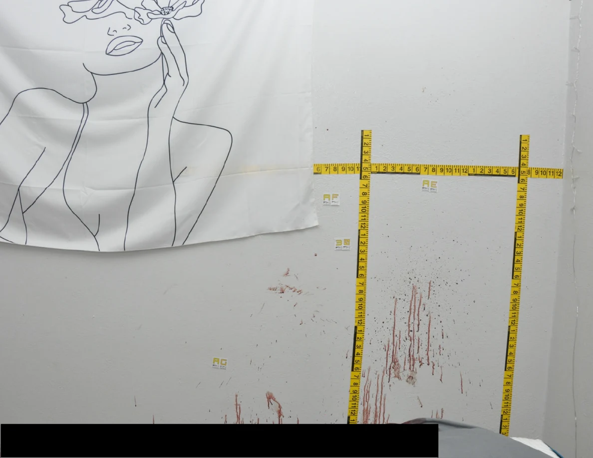Line-art fabric wall hanging beside reddish wall streaks and crossed yellow measuring tapes.