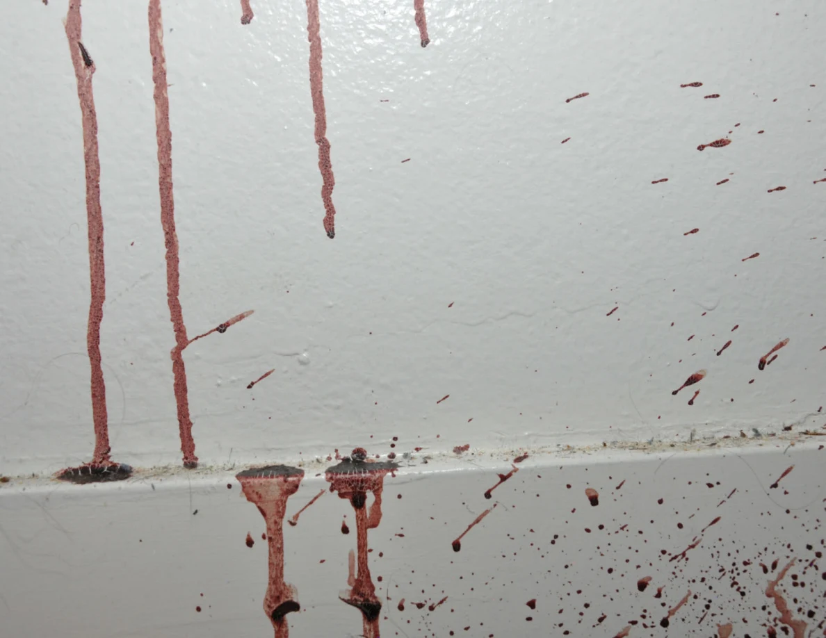 Close view of reddish streaks crossing a white wall and baseboard.