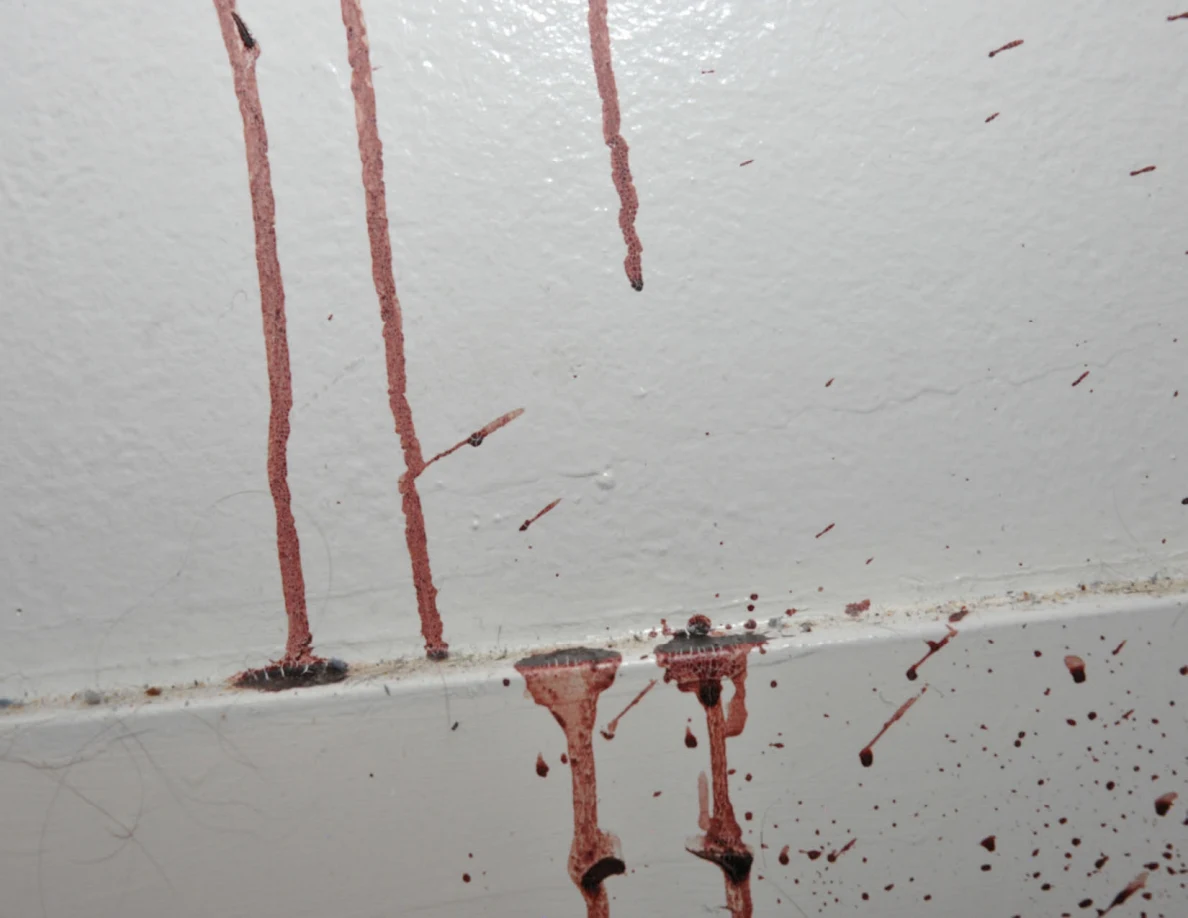 Close view of reddish streaks crossing a white wall and baseboard.