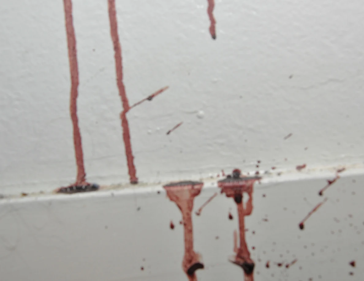 Soft-focus close view of reddish streaks crossing a white wall and baseboard.
