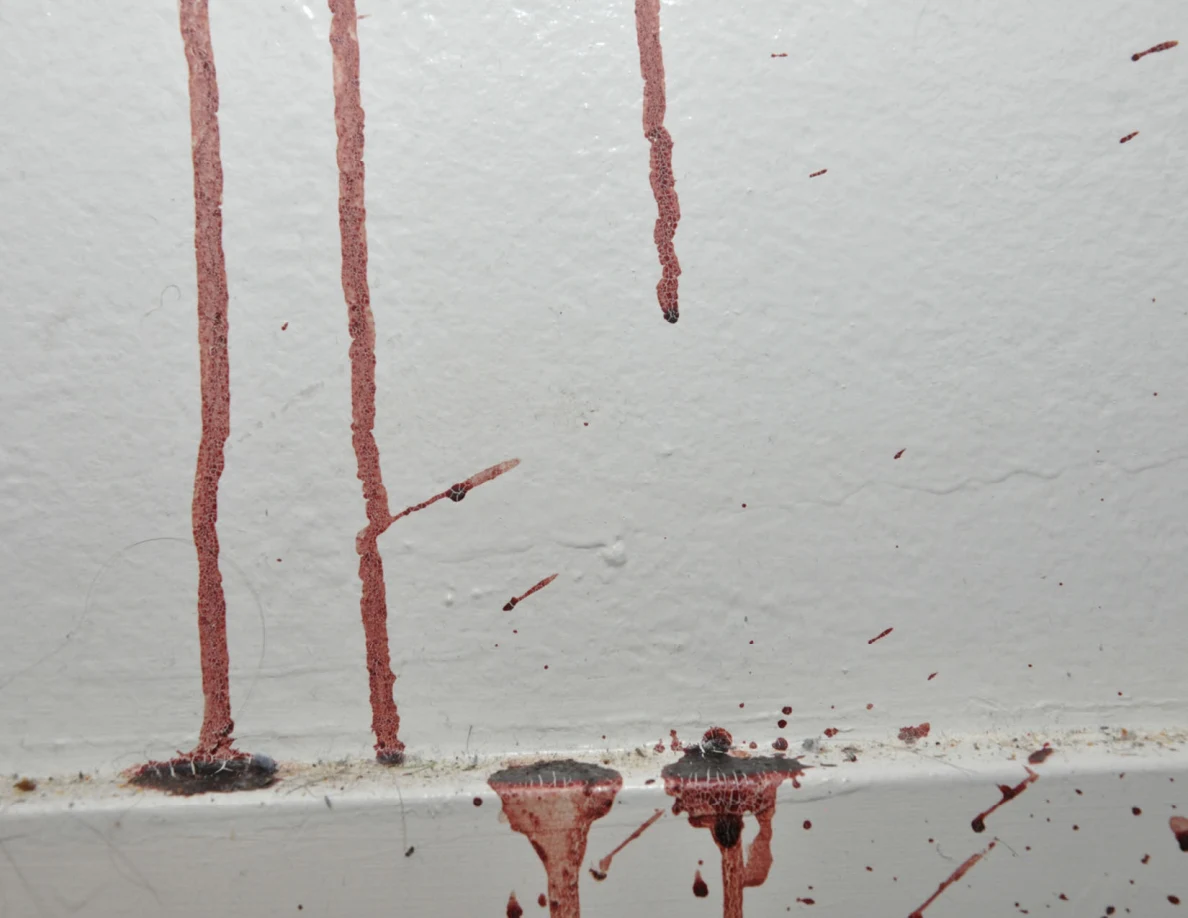 Close view of long reddish wall streaks reaching a white baseboard.