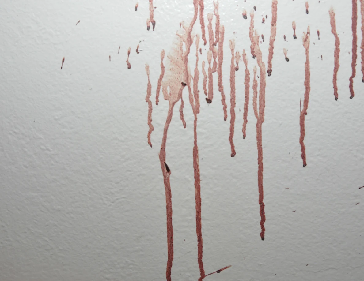 Close view of long reddish streaks on a white wall.