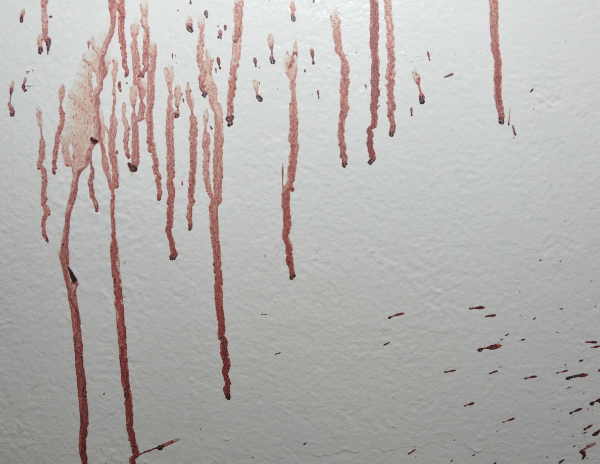 Close view of long reddish streaks and scattered spots on a white wall.