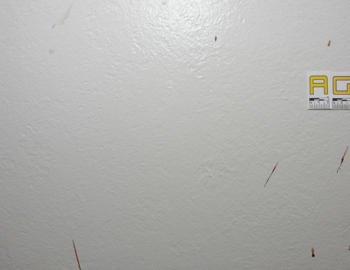 Small reddish wall spots and thin streaks beside a partial AG label.