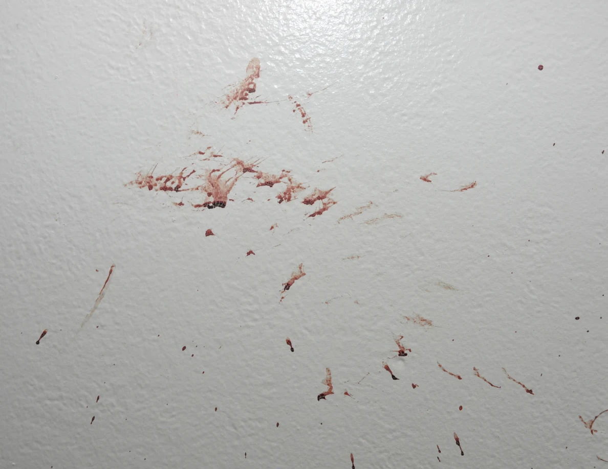 Close view of irregular reddish smears on a white wall.