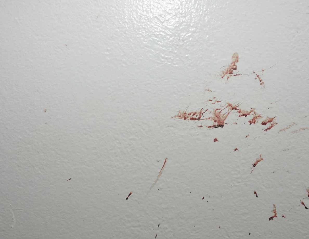 Close view of irregular reddish smears on a white wall.