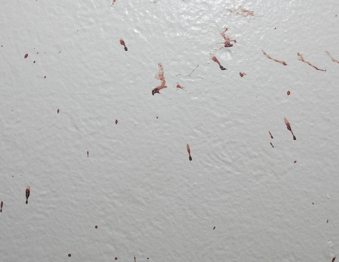 Reddish wall spots and irregular short smears.