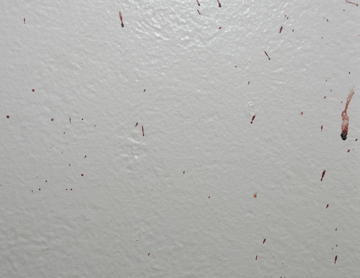 Close view of scattered small reddish wall drops and streaks.