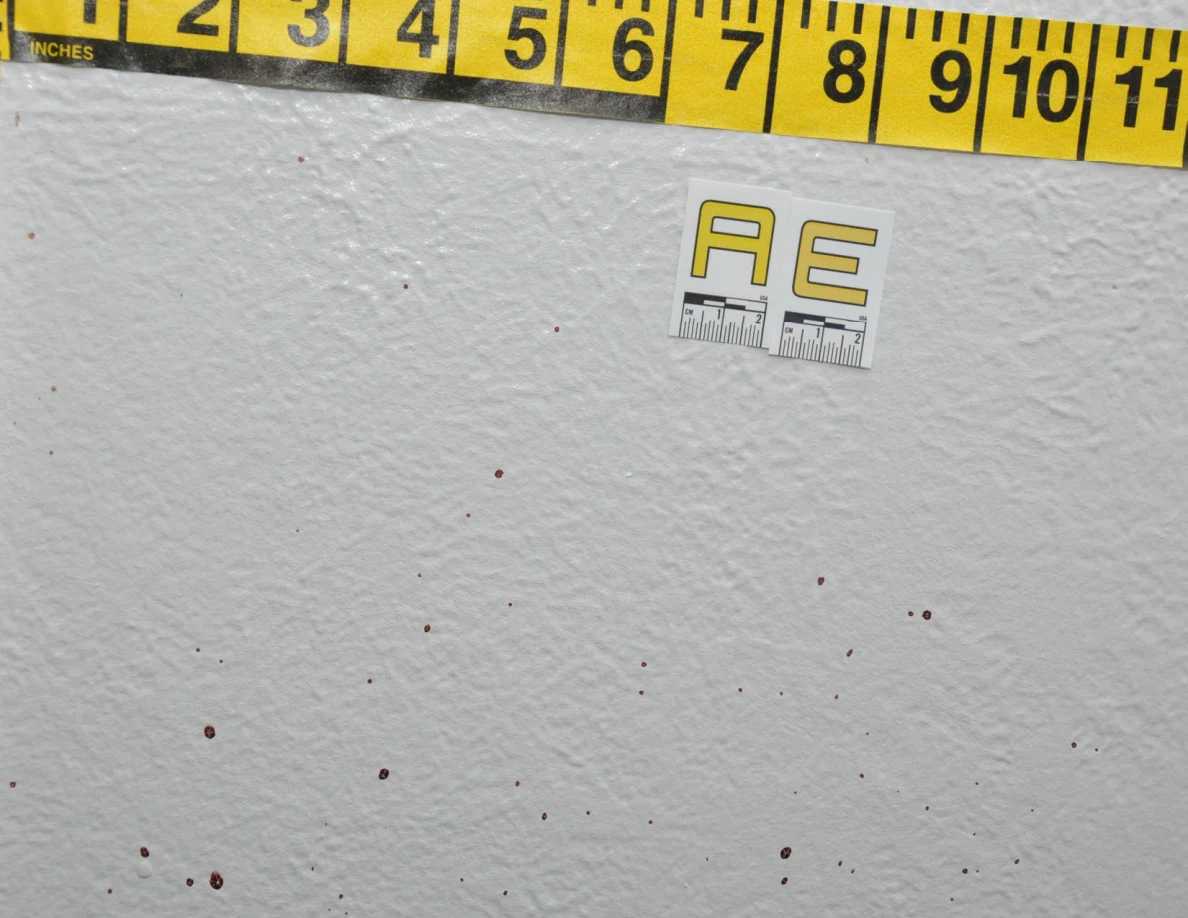 Label AE below horizontal measuring tape on a wall with small reddish spots.
