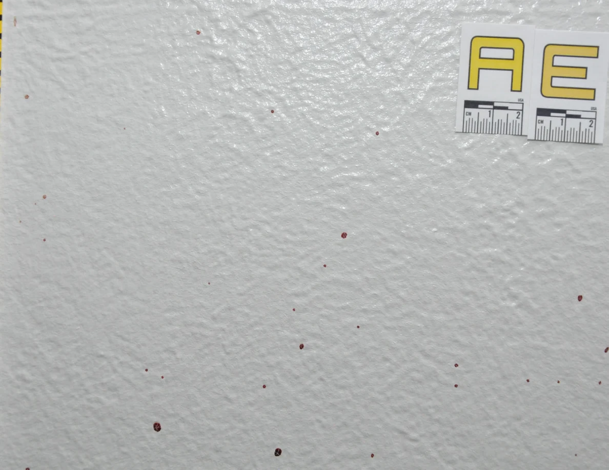 Small reddish wall spots beside label AE.