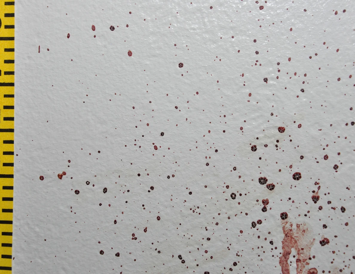 Dense reddish wall spots beside yellow measuring tape.