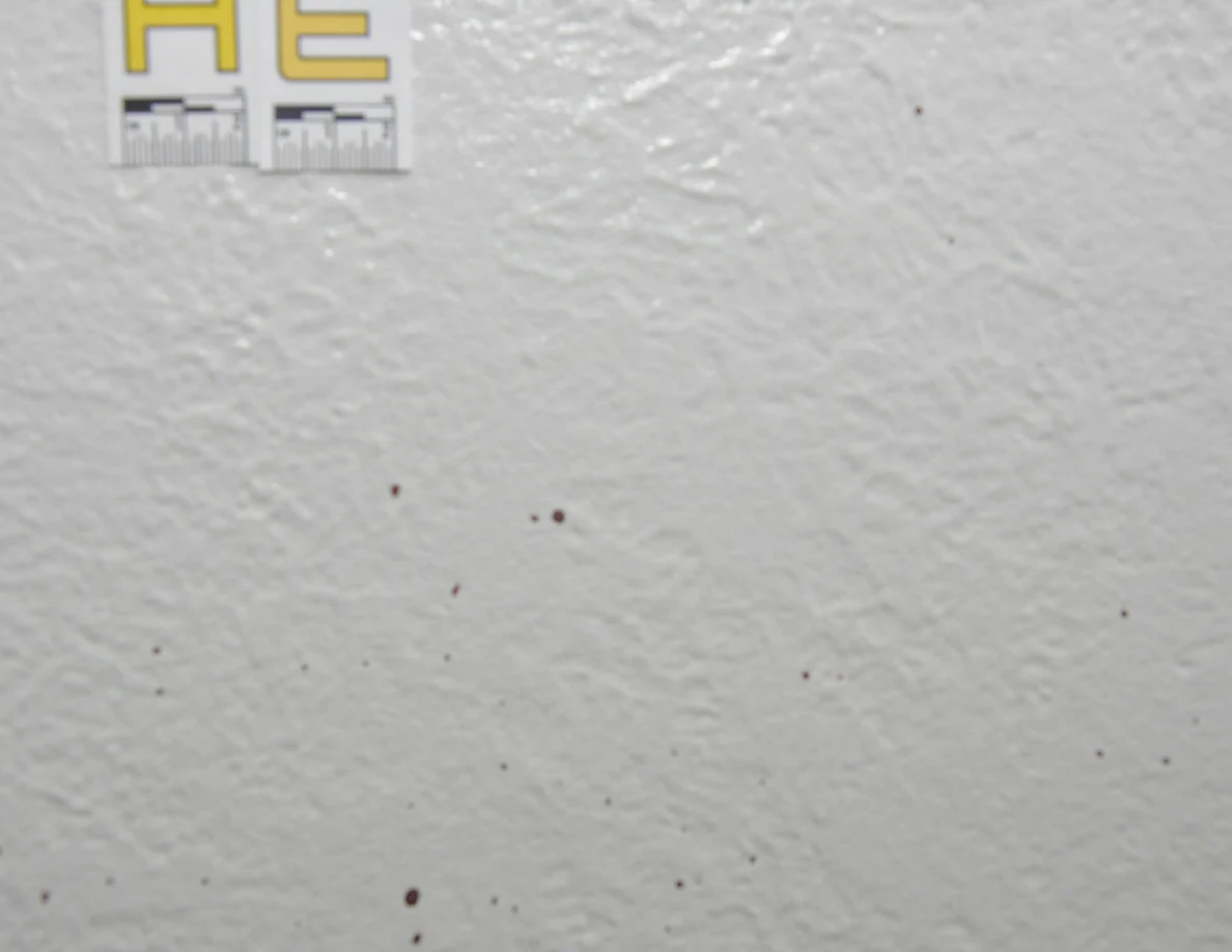 Close view of small reddish wall spots below label AE.