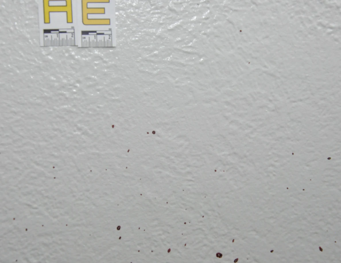 Close view of small reddish wall spots below label AE.