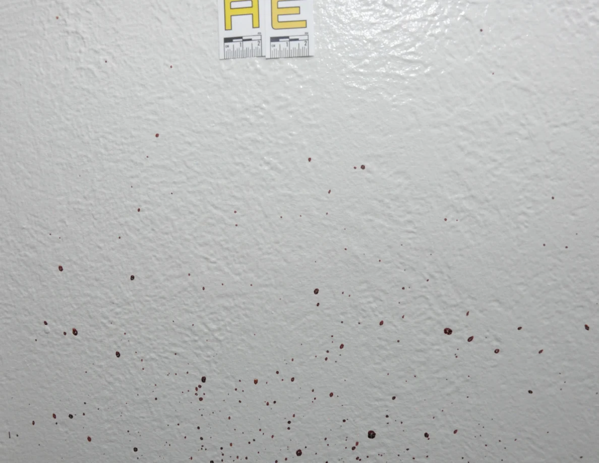 Scattered small reddish wall spots below label AE.