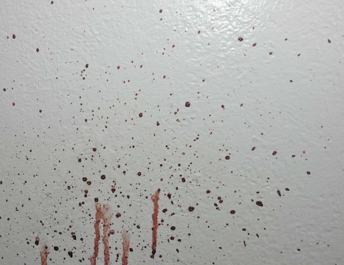 Dense reddish spots and the tops of long streaks on a white wall.