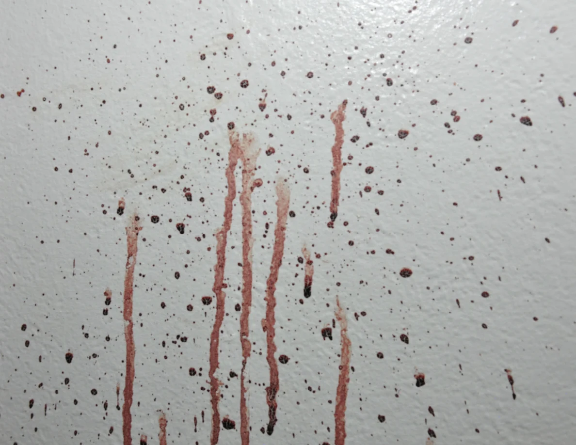 Close view of reddish spots and long streaks on a white wall.
