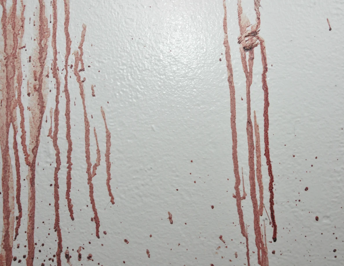 Long reddish streaks and a dark crossing mark on a white wall.