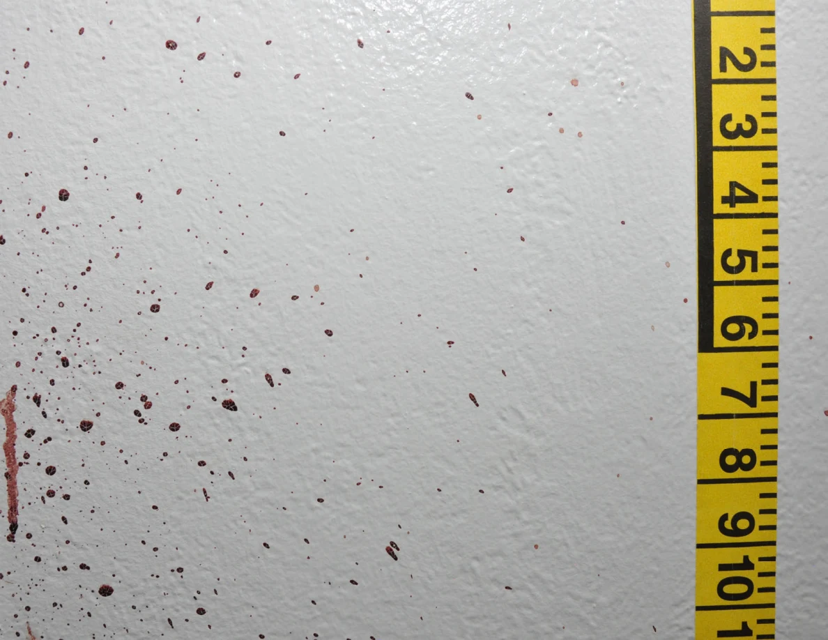 Reddish wall spots beside vertical yellow measuring tape.