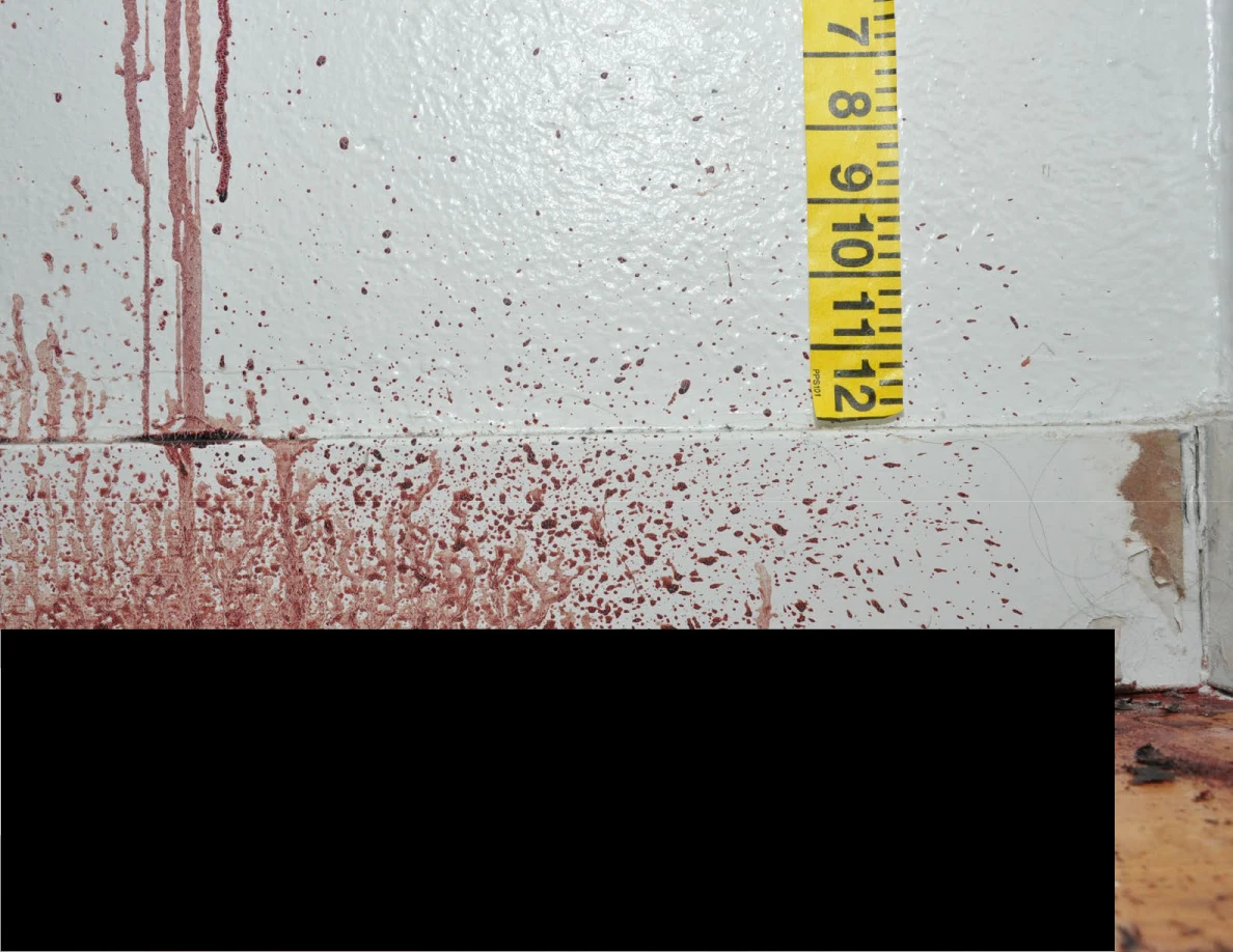 Dense reddish marks across a baseboard below wall streaks and measuring tape, with a black redaction.