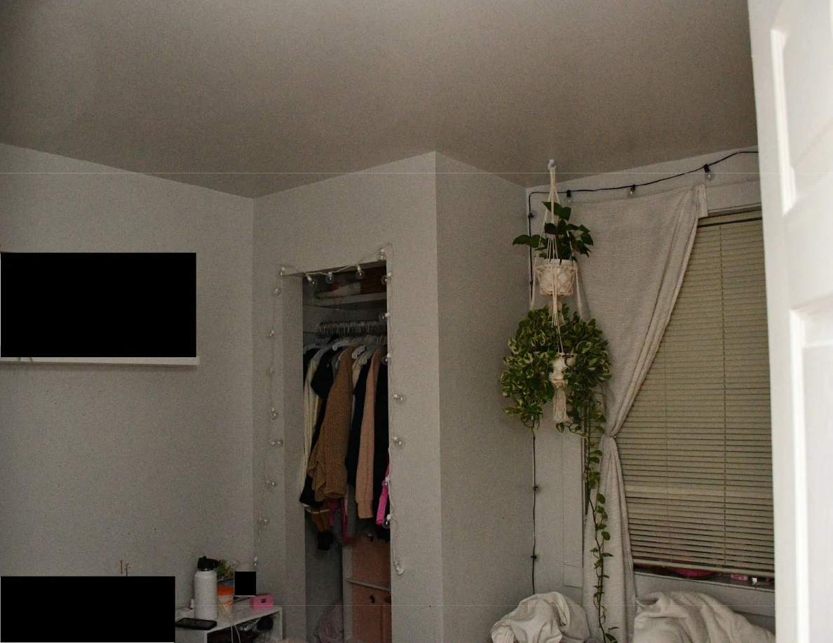 Open closet with hanging clothes beside hanging plants and a curtained window, with black redactions.