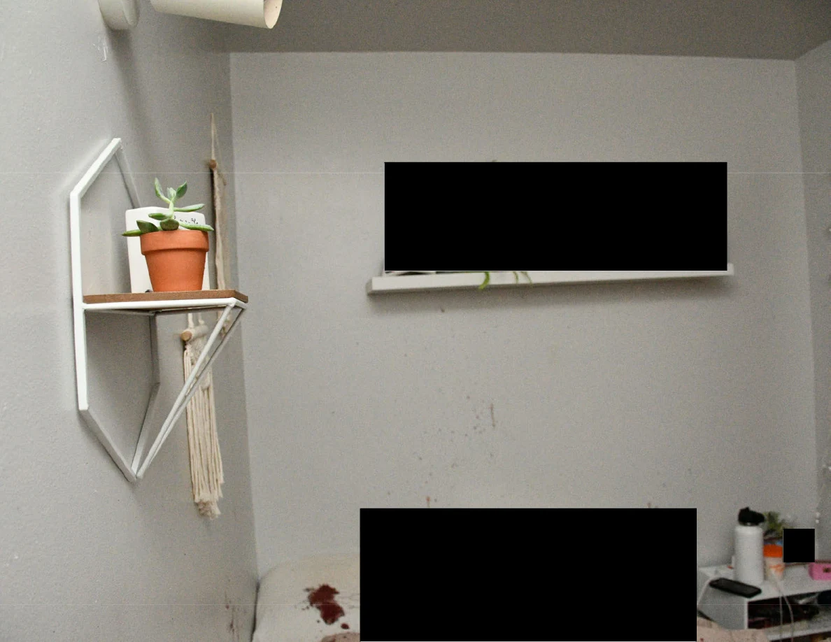 Bedroom wall with mirror, potted plant shelf and black redactions above bedding.