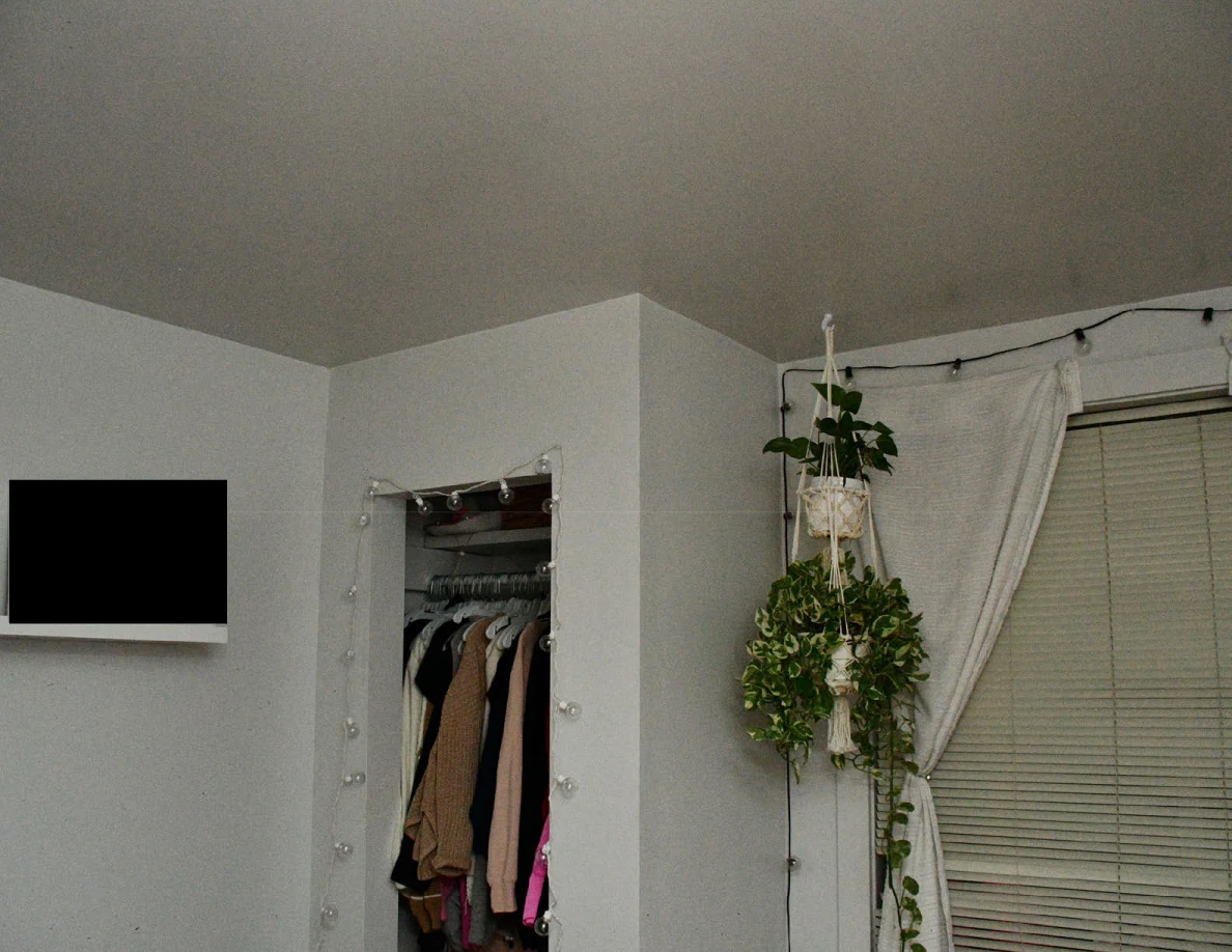 Upper bedroom wall and ceiling above an open closet, hanging plants and curtained window.