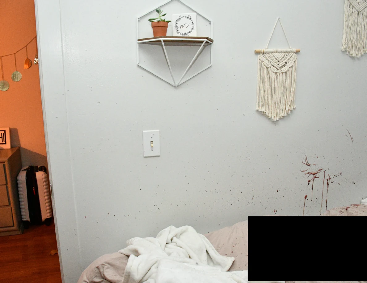Potted plant on wall shelf and woven wall hanging above bedding and reddish wall marks, with a black redaction.