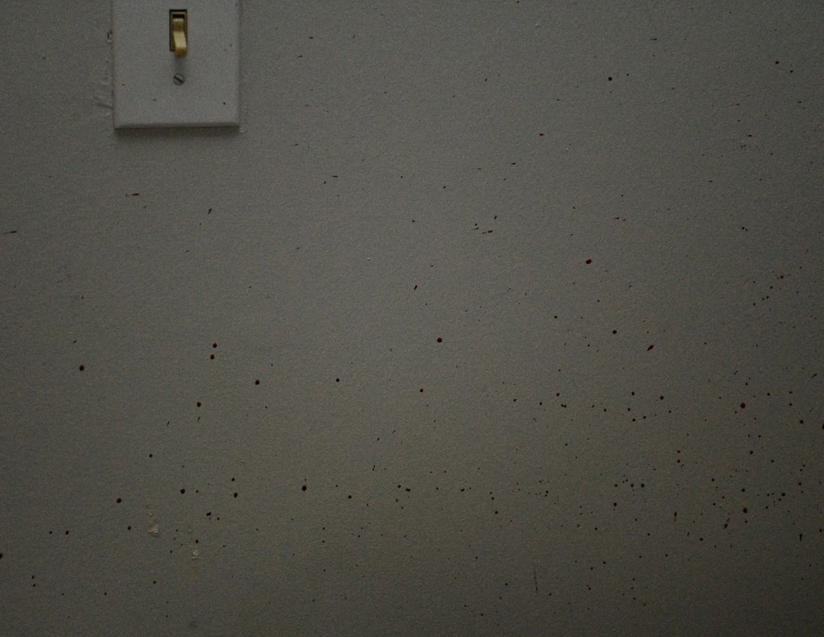 Dim close view of wall switch and scattered reddish wall spots.