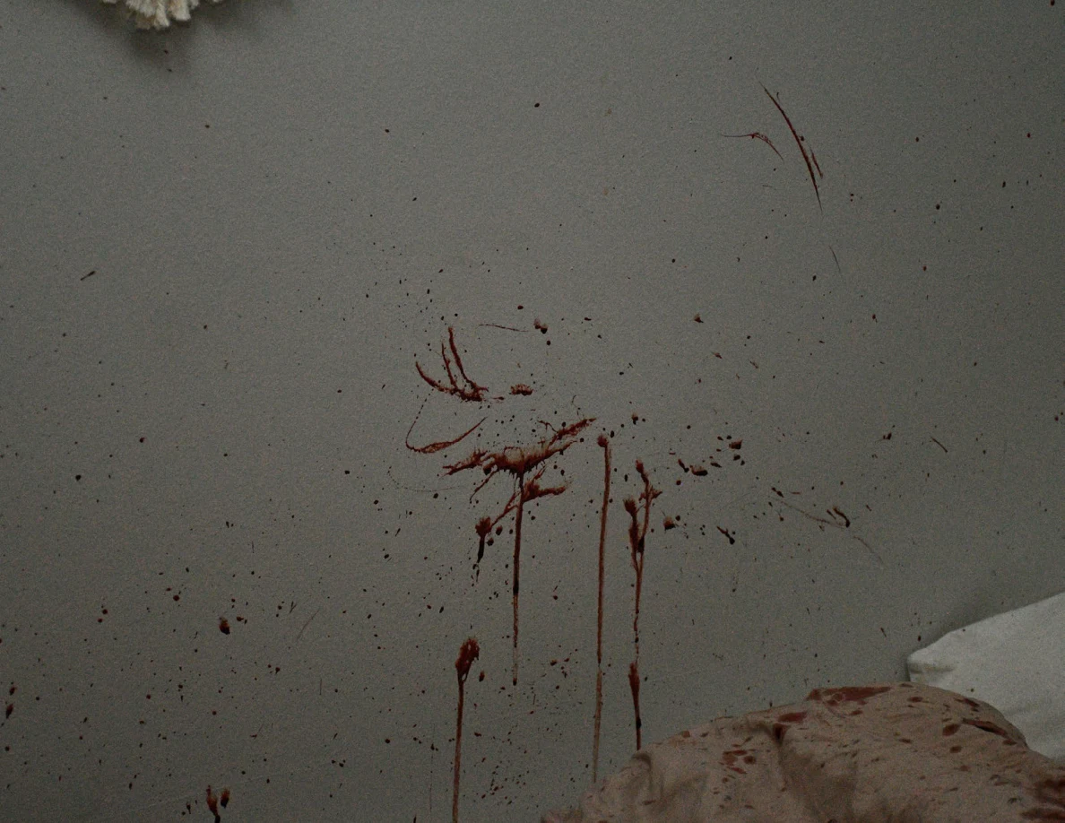 Dim close view of reddish wall smears and downward streaks above bedding.
