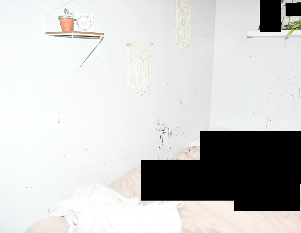 Bright view of plant shelf and woven hangings above reddish wall marks and redacted bedding.