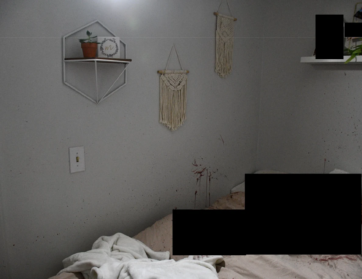 Dim view of plant shelf and woven hangings above reddish wall marks and redacted bedding.